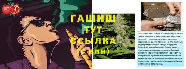 PSILOCYBIN Балабаново