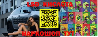 СК Рыбинск