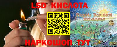 СК Рыбинск