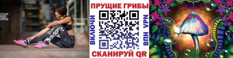 Псилоцибиновые грибы мухоморы  Семилуки 