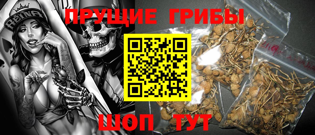 Семилуки  Псилоцибиновые грибы прущие грибы  Вход с VPN 